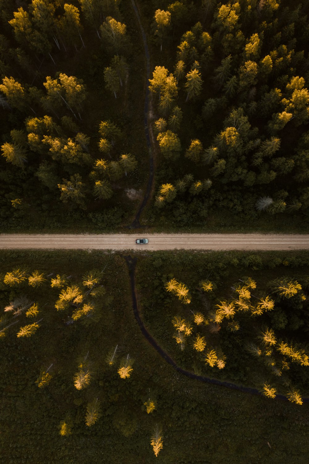 aerial view of green trees during daytime