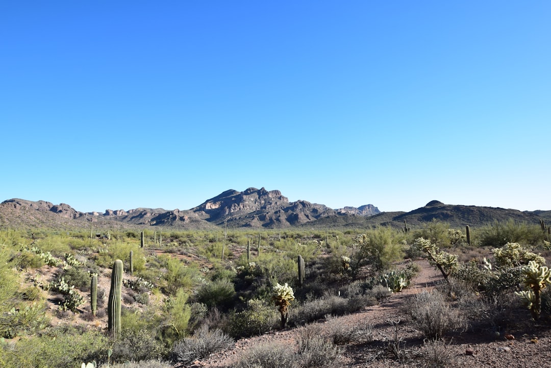 Exploring Colorado's Western Slope 7 Hidden