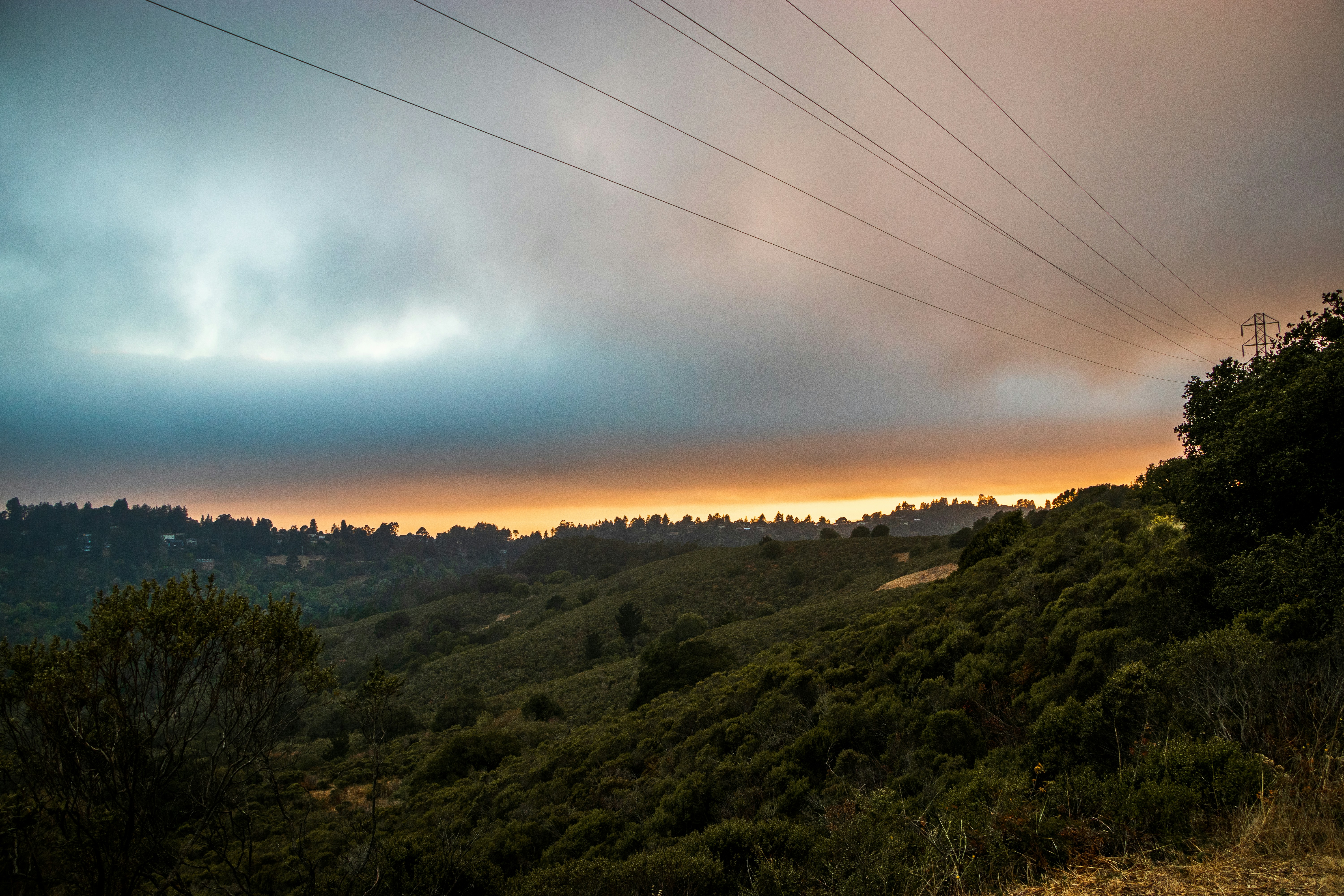 Photo by dzngriffin