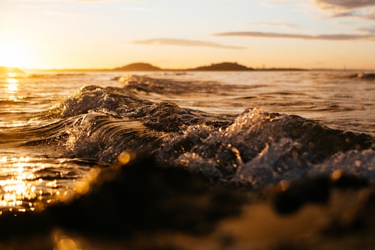 black rock formation on sea during daytime in Kohimarama New Zealand