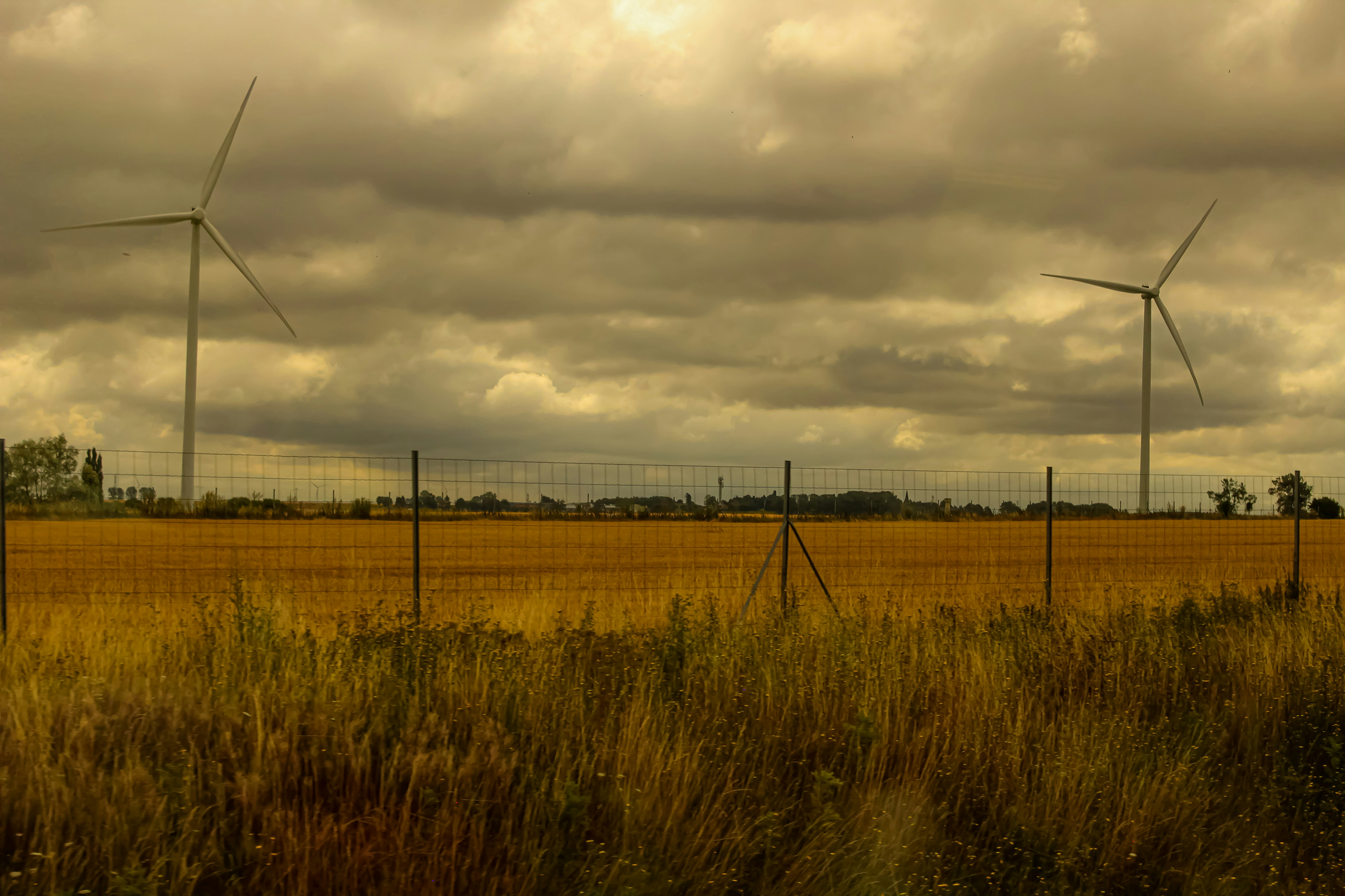 Captured this photo last summer, on board a train to Holland from Paris.