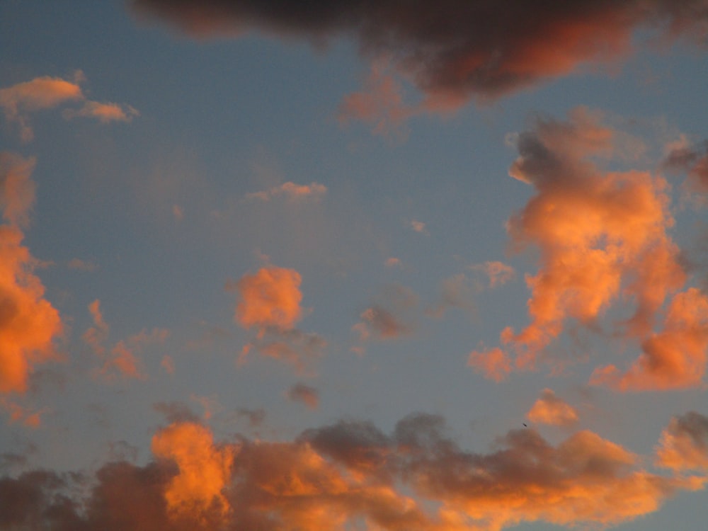 orange and blue cloudy sky