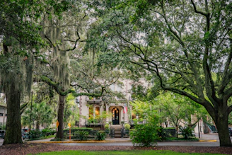 green trees near white concrete building during daytime