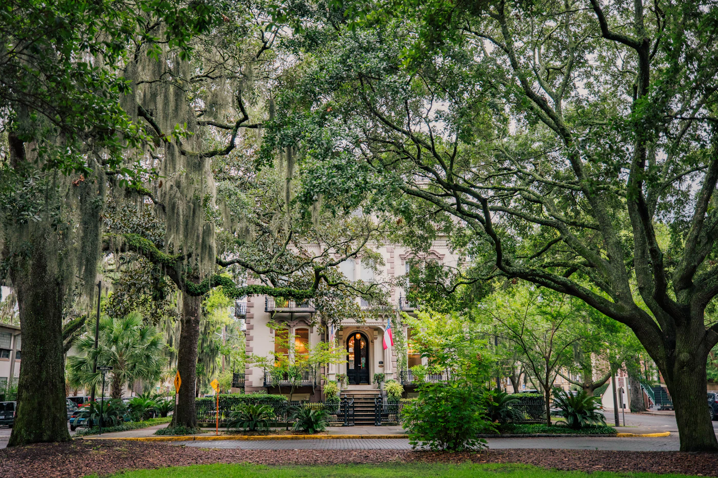 Live oaks shading one of Savannah's historic squares, Georgia