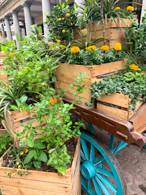 A rustic wooden cart filled with potted saplings ready for planting.