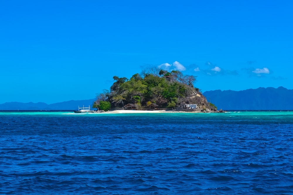 green trees on island surrounded by blue sea under blue sky during daytime