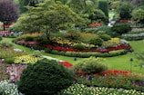 red and white flower garden
