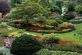 red and white flower garden