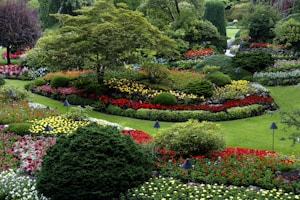 red and white flower garden