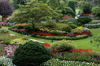 Lush flower beds and manicured shrubs in The Butchart Gardens in Victoria, Canada