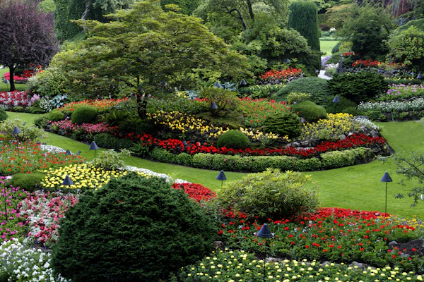 Colourful red and white flower planting