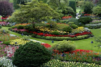Planting