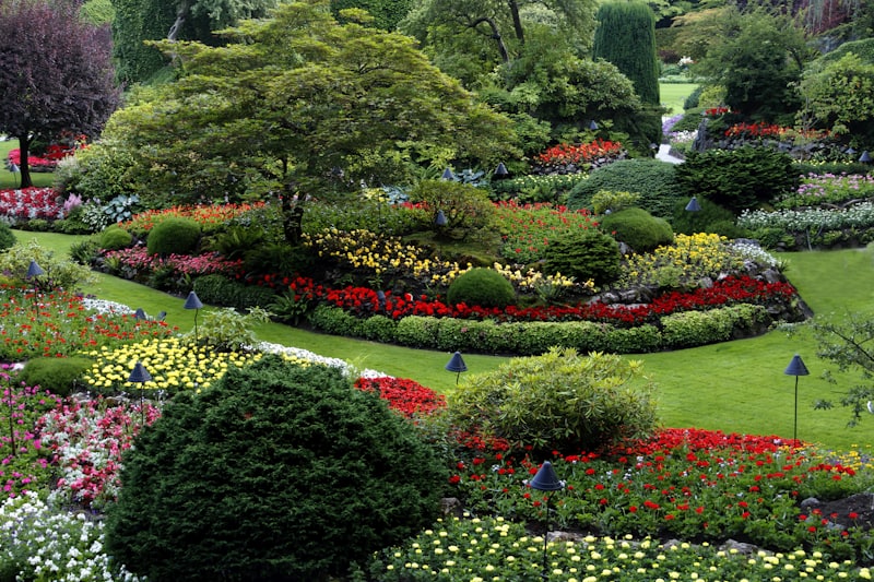 Jardín diseñado con flores y plantas
