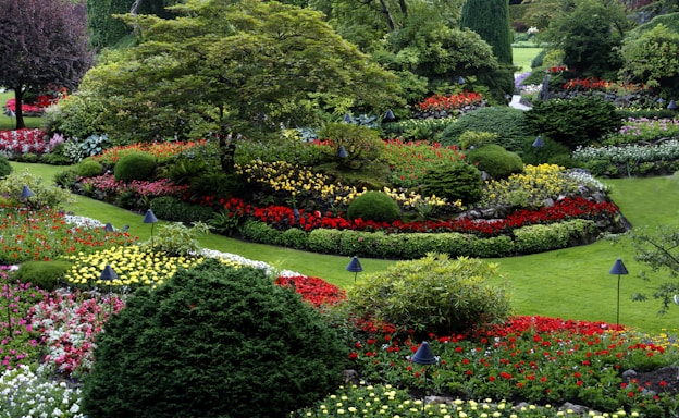 red and white flower garden