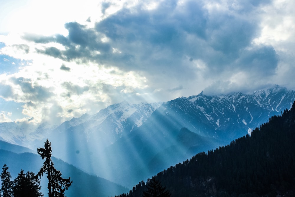 green trees near snow covered mountain during daytime