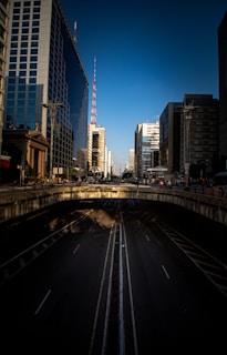 cars on road between high rise buildings during daytime
