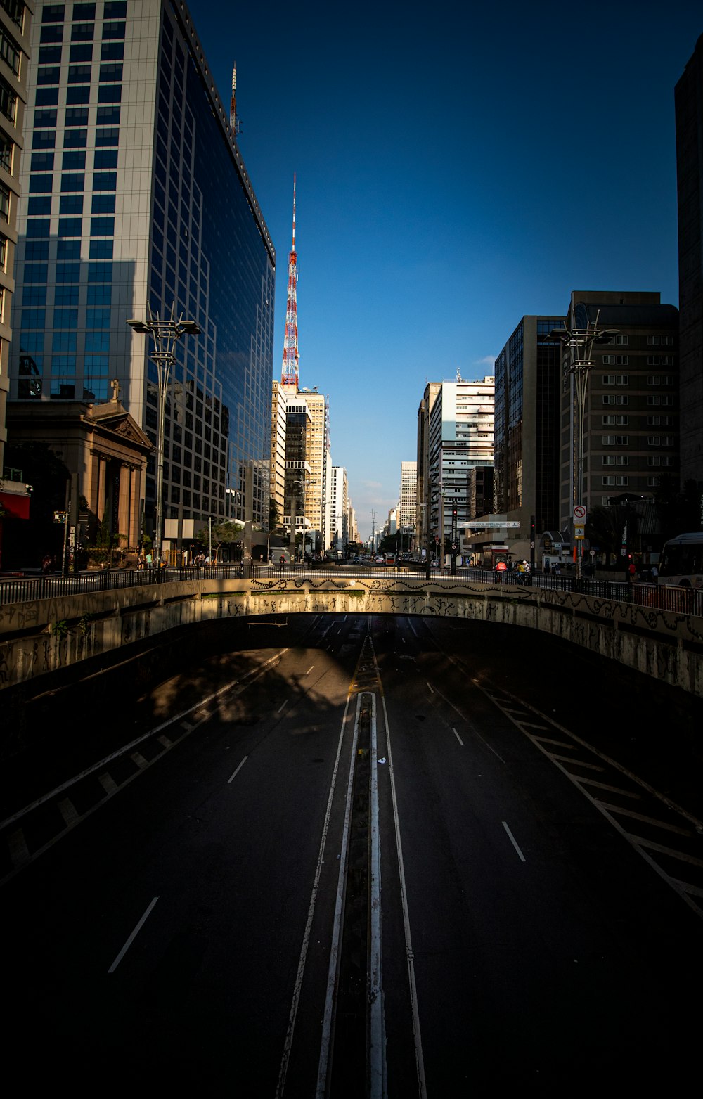 cars on road between high rise buildings during daytime