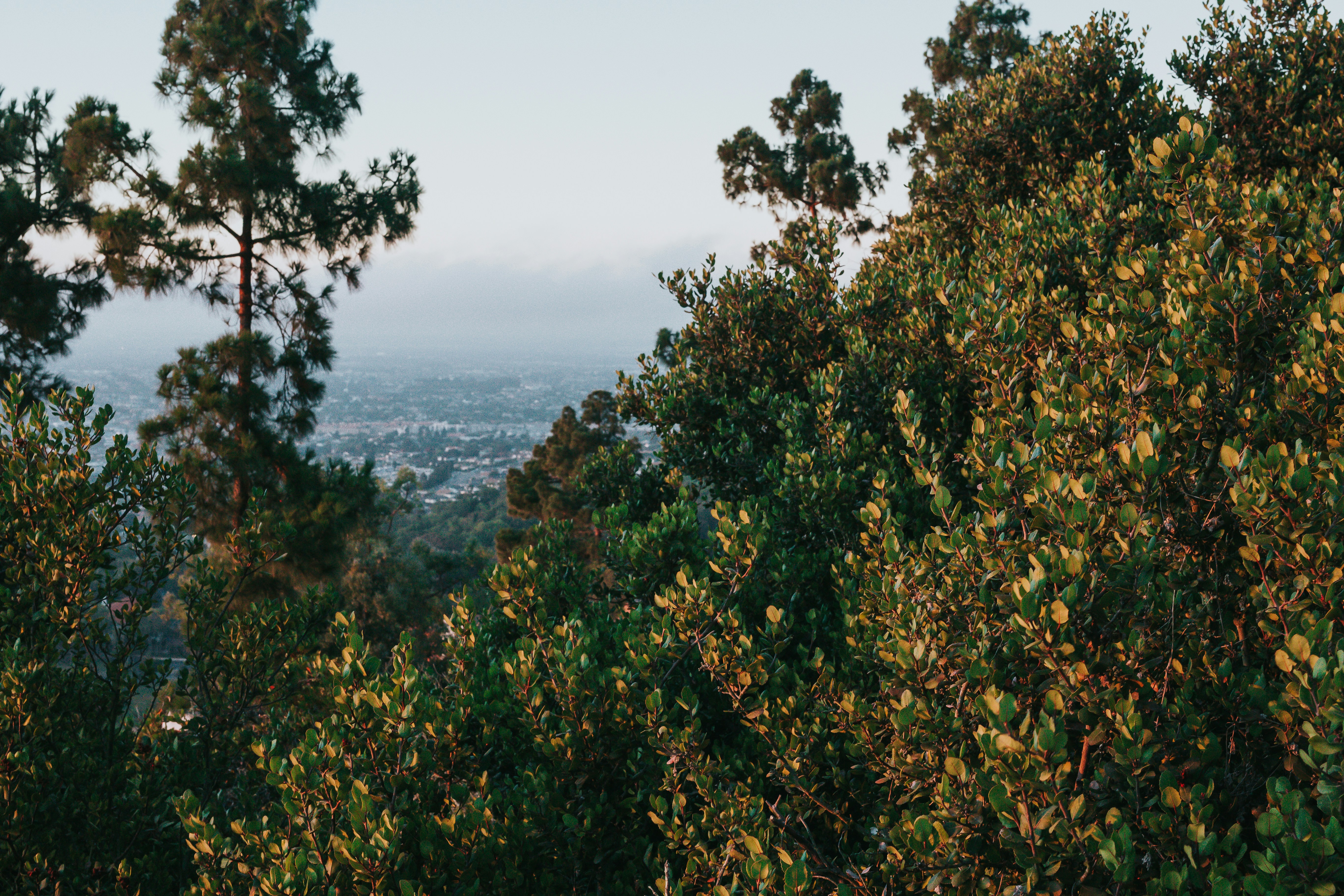 Photo by donovan_valdivia