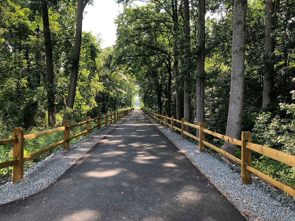 gray concrete pathway between green trees during daytime