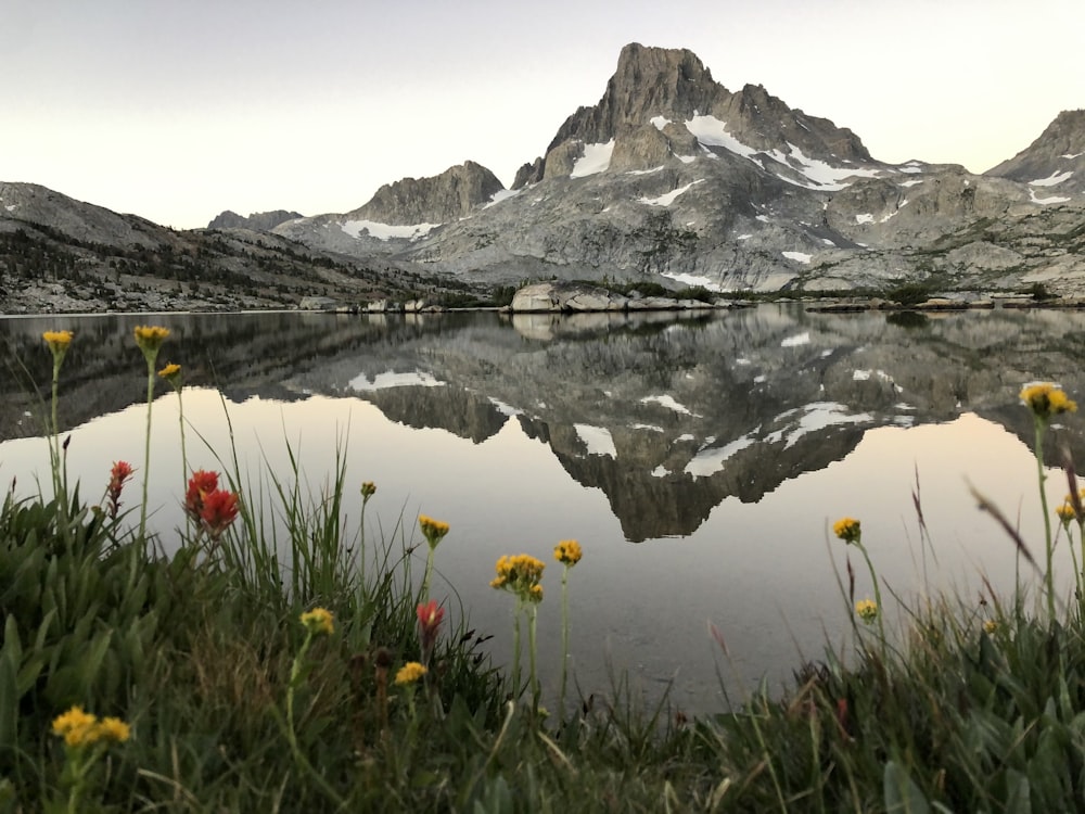 gray and white mountain near body of water during daytime