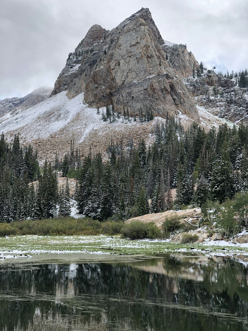 green pine trees near brown mountain during daytime