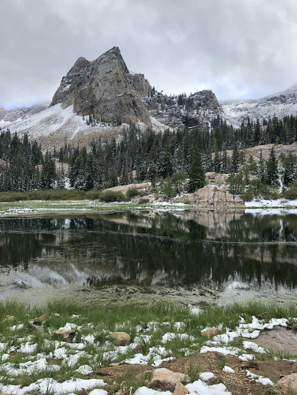 árvores verdes perto do lago e da montanha durante o dia