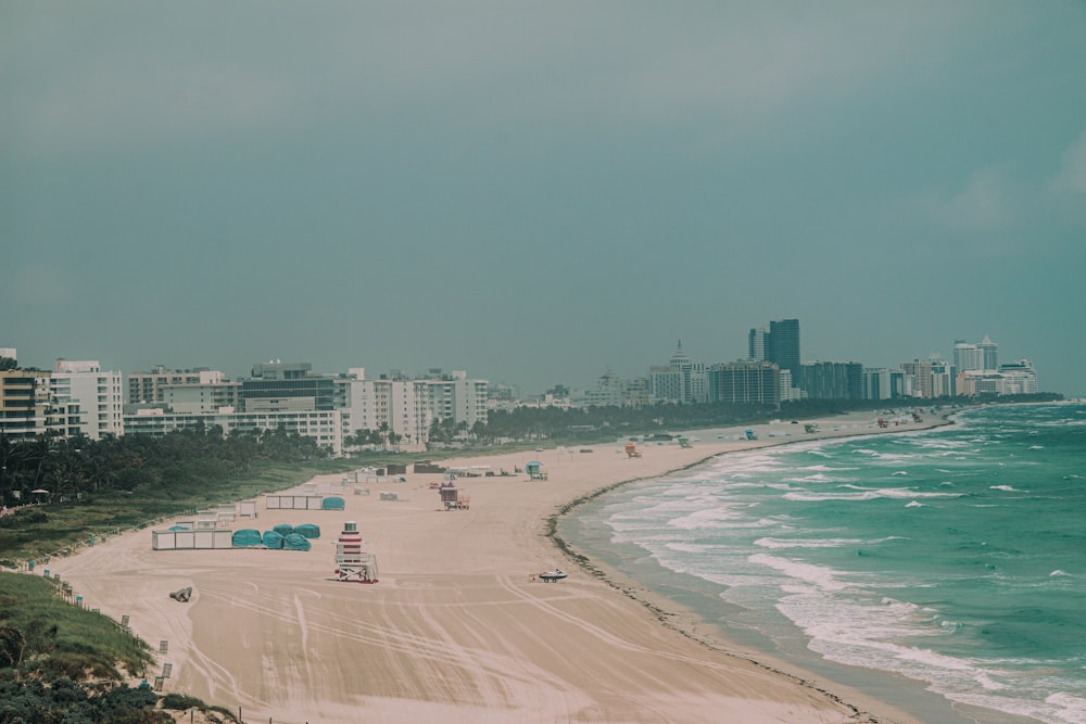 people on beach during daytime