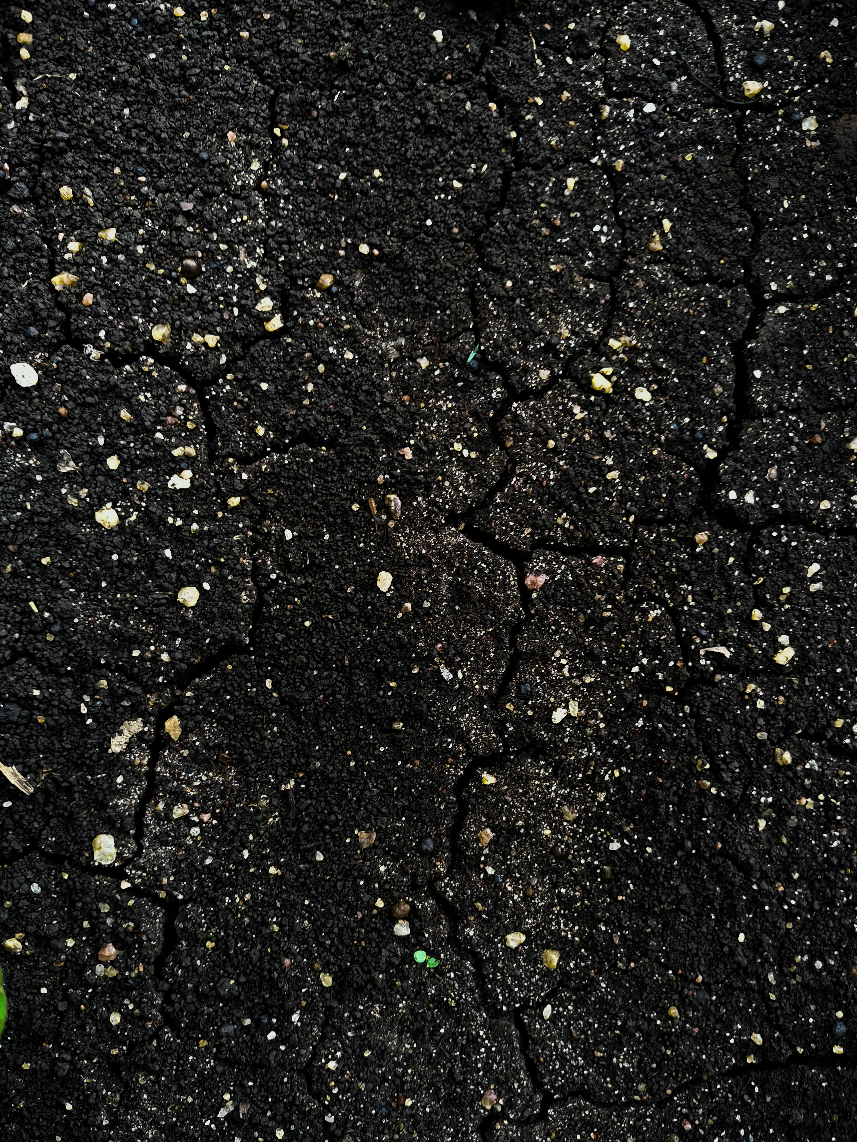 black and white stone fragments