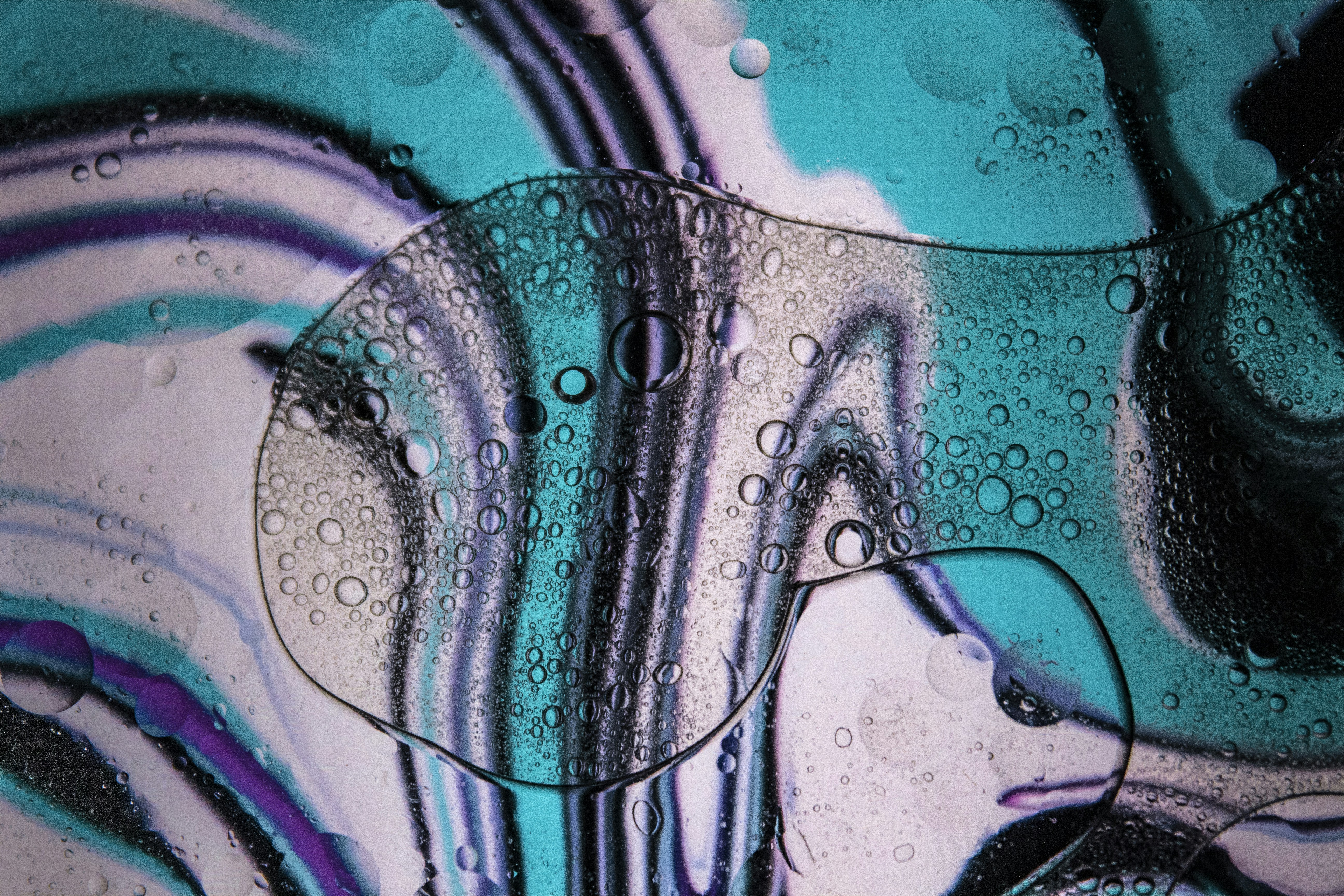 Photo by photophilic_spook