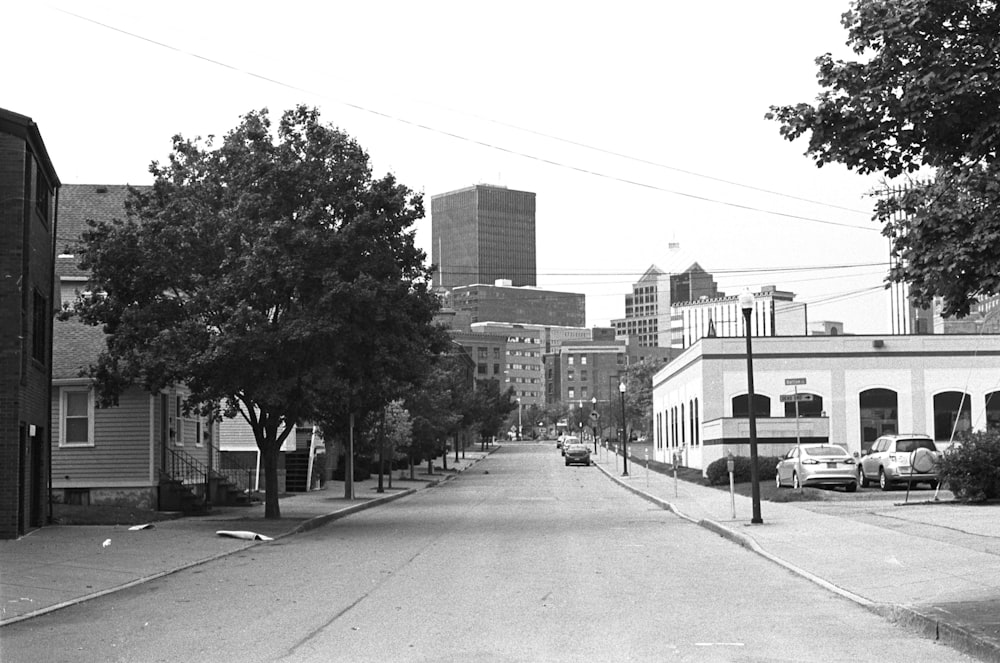 grayscale photo of city buildings and trees