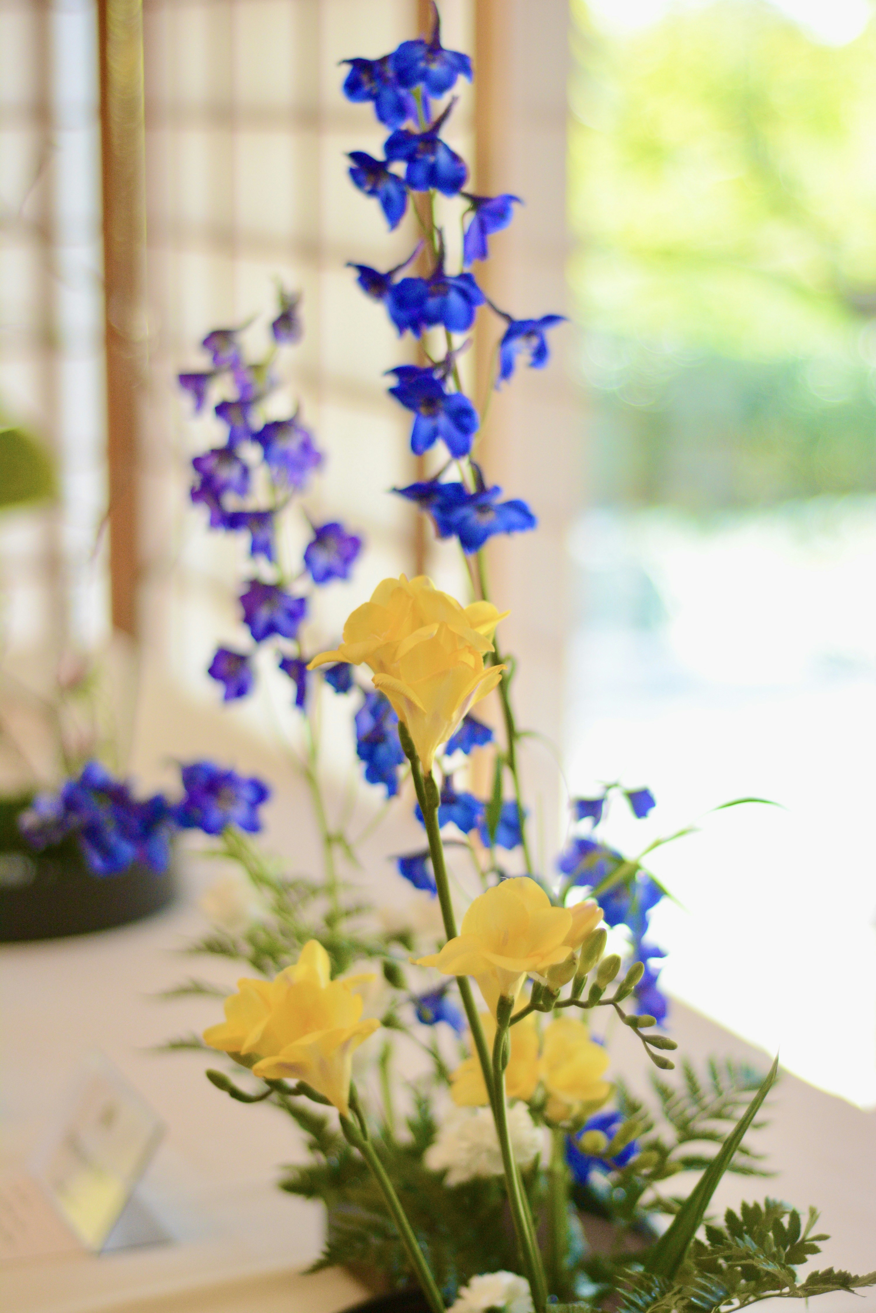 yellow flowers on brown wooden table