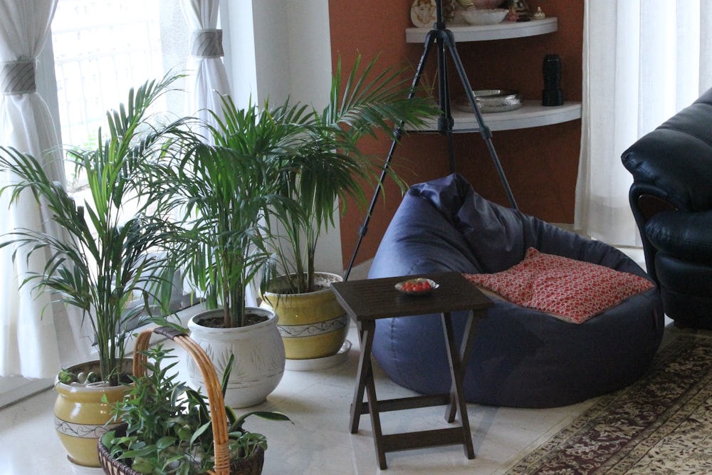 person in blue denim jeans lying on brown wooden folding chair