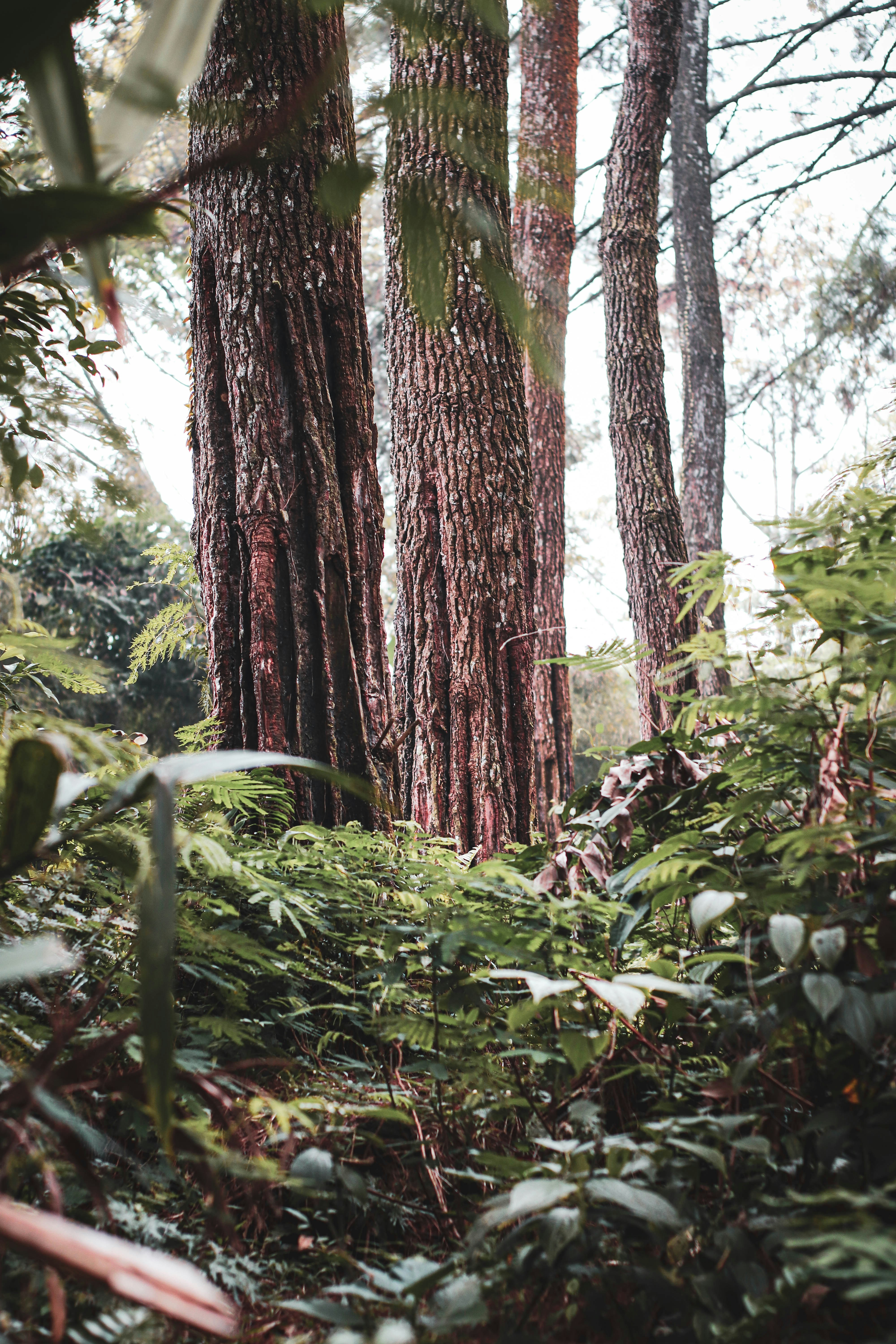 Photo by agusprasetyow