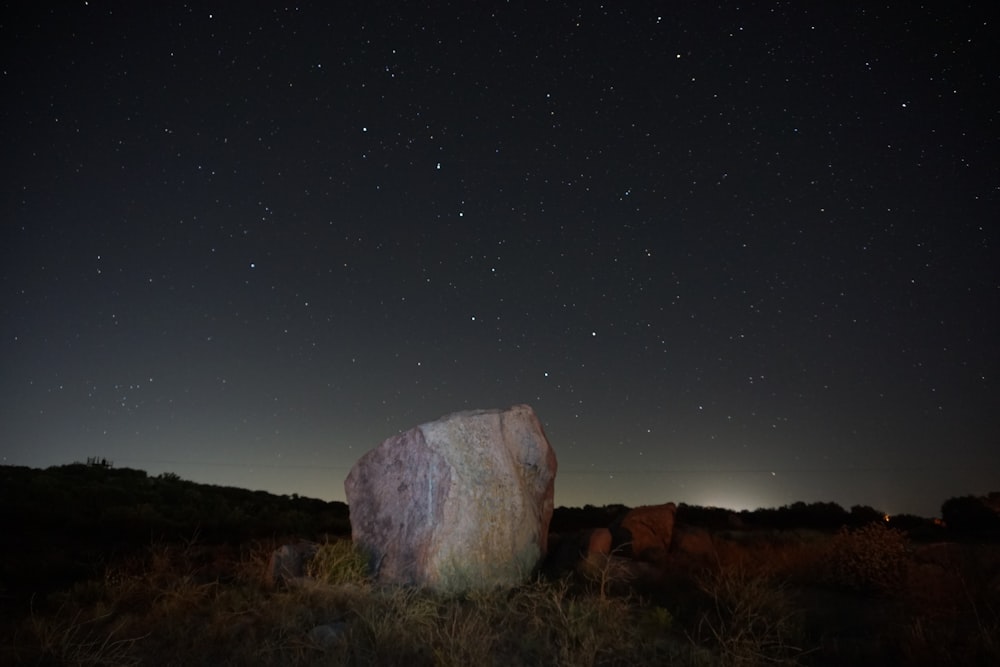 gray rock on brown grass field during night time