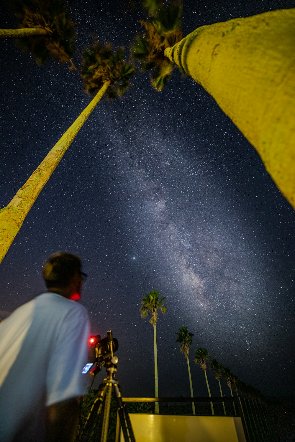 man in white shirt standing near green tree during night time