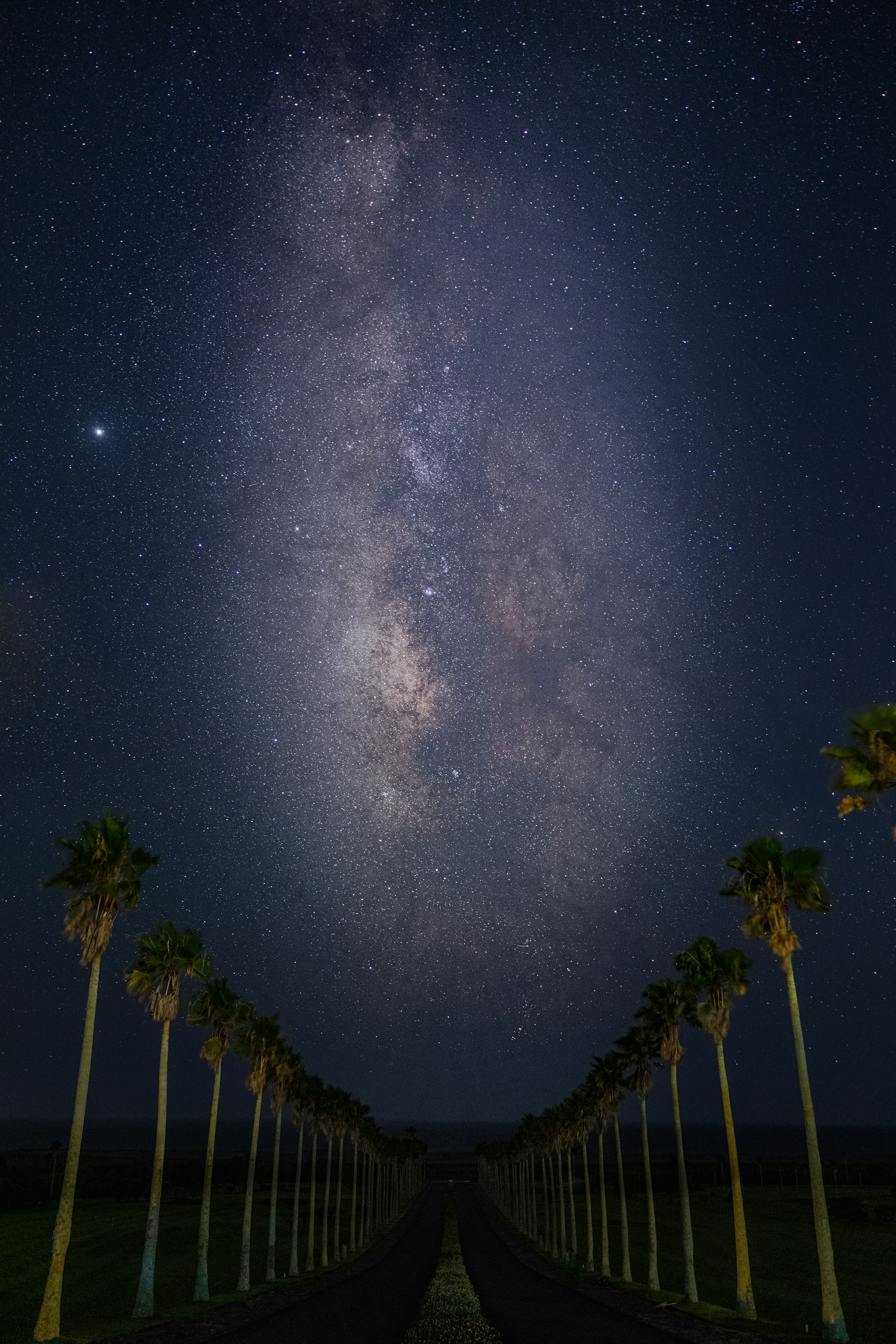 Canon EOS R5 sample photo. Green trees under starry photography