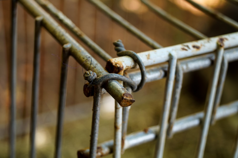 clôture en métal gris avec cadenas