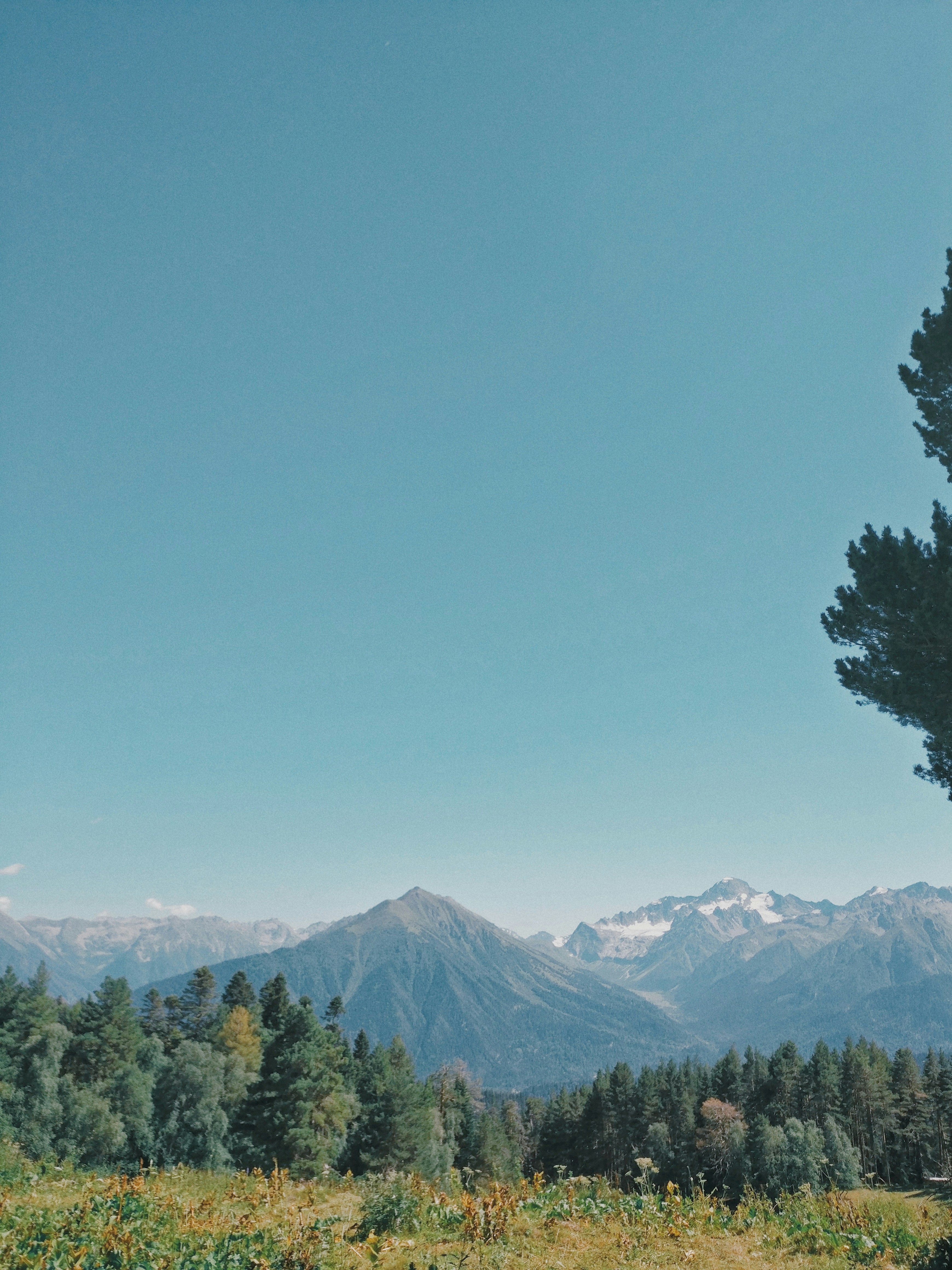 summer camp landscape, wallpaper, Severe Weather Safety Drills for Summer Camp 4