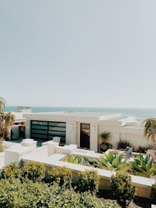white and brown concrete building near green trees during daytime