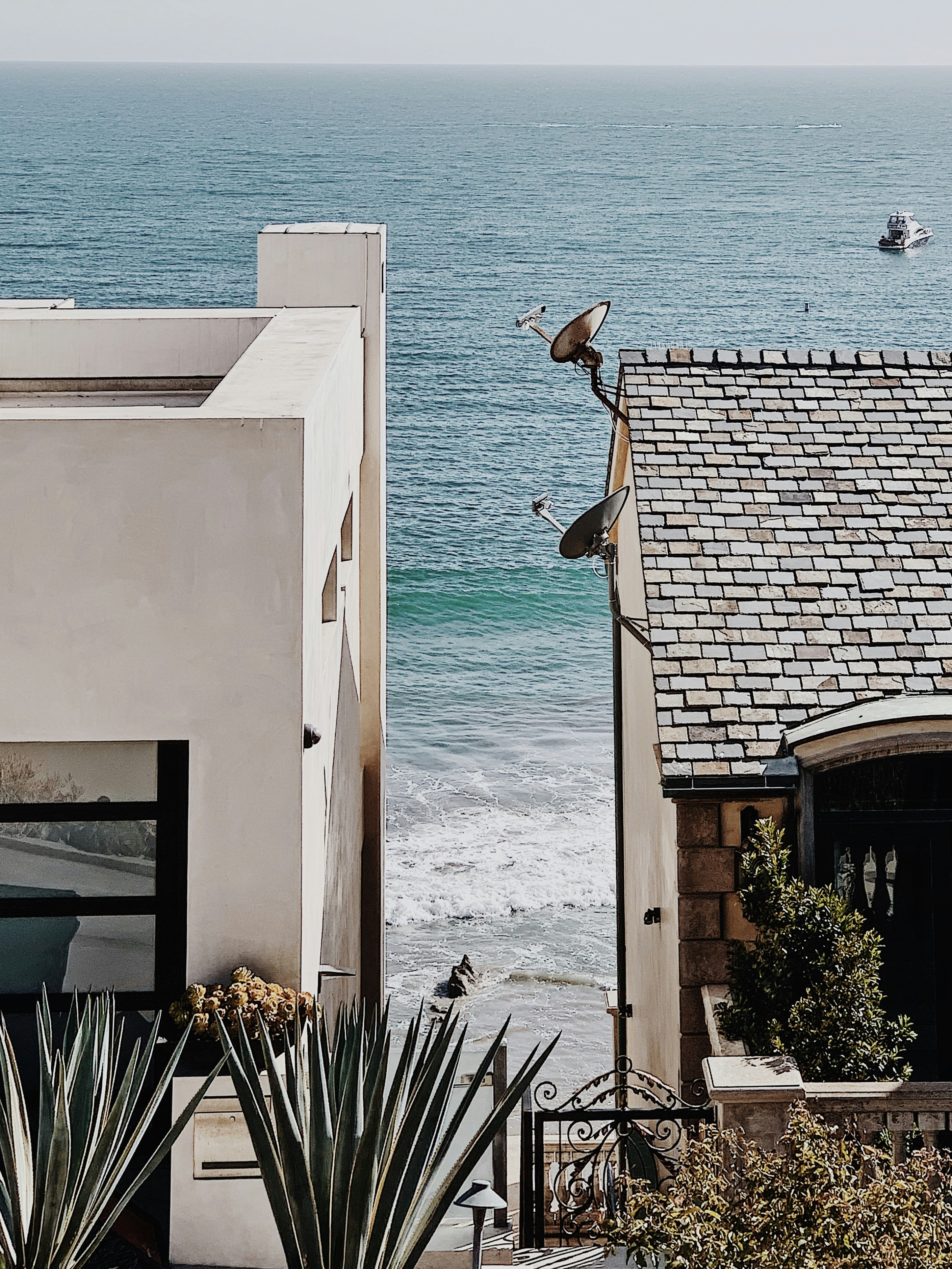 brown and white bird flying over the sea during daytime