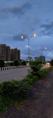 Evening shot of plots with streetlights and green belts lining the roads.