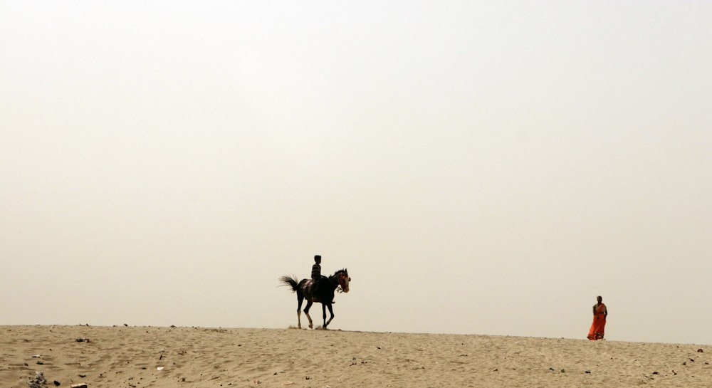 2 people riding horses on brown sand during daytime