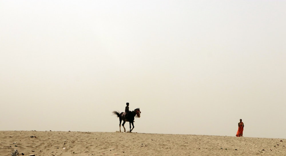 2 Personen reiten tagsüber auf braunem Sand