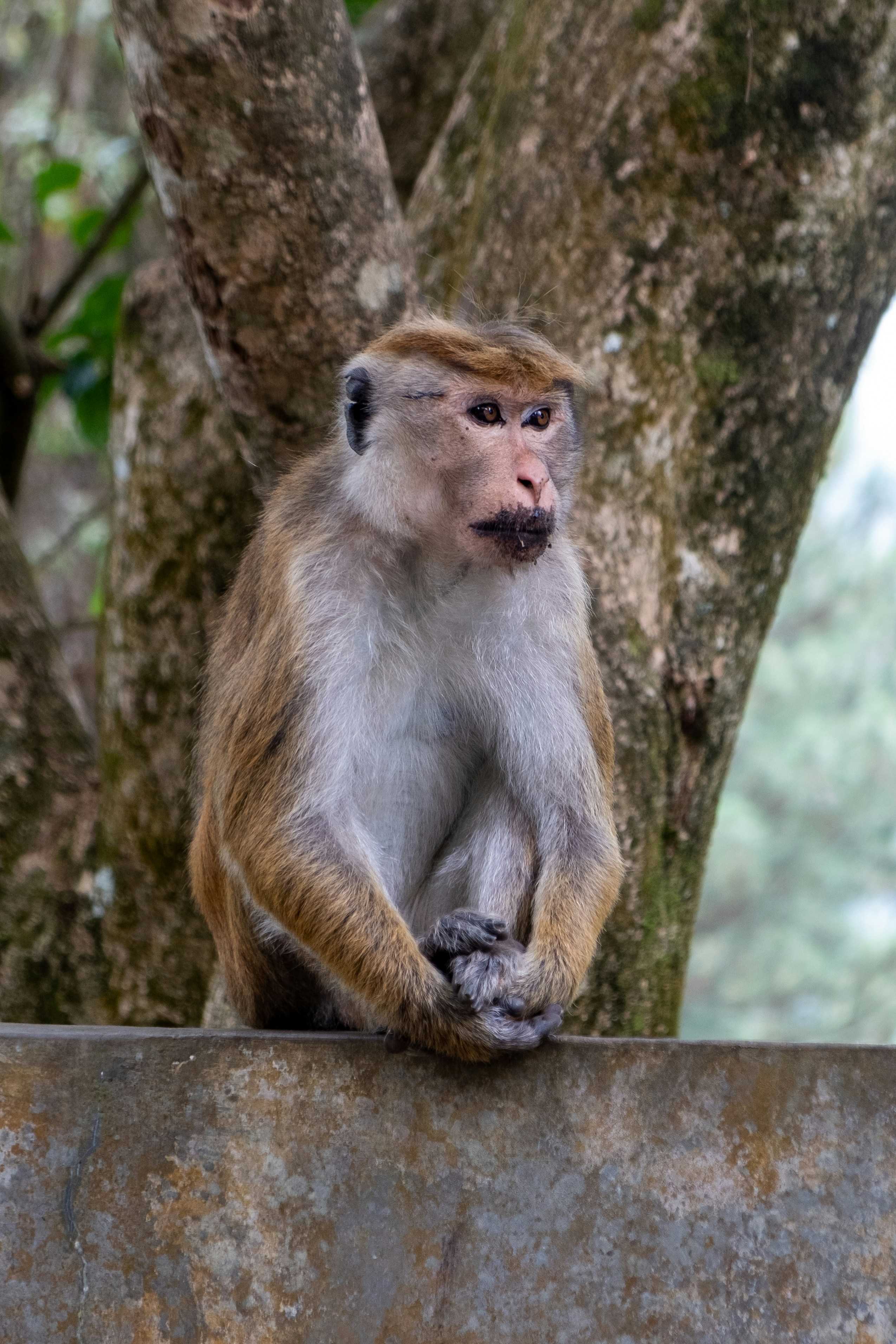 Photo by silverringvee