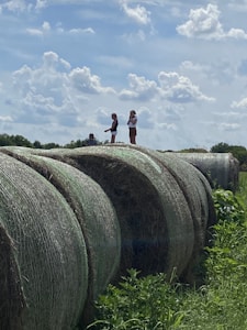 Three children stand atop large, round hay bales surrounded by lush greenery under a partly cloudy sky. The scene conveys a sense of rural life and adventure.
