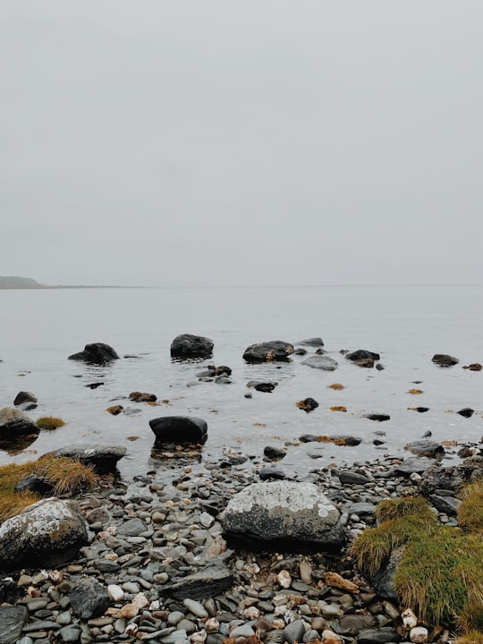 gray rocks on body of water during daytime in Sound of Bute United Kingdom