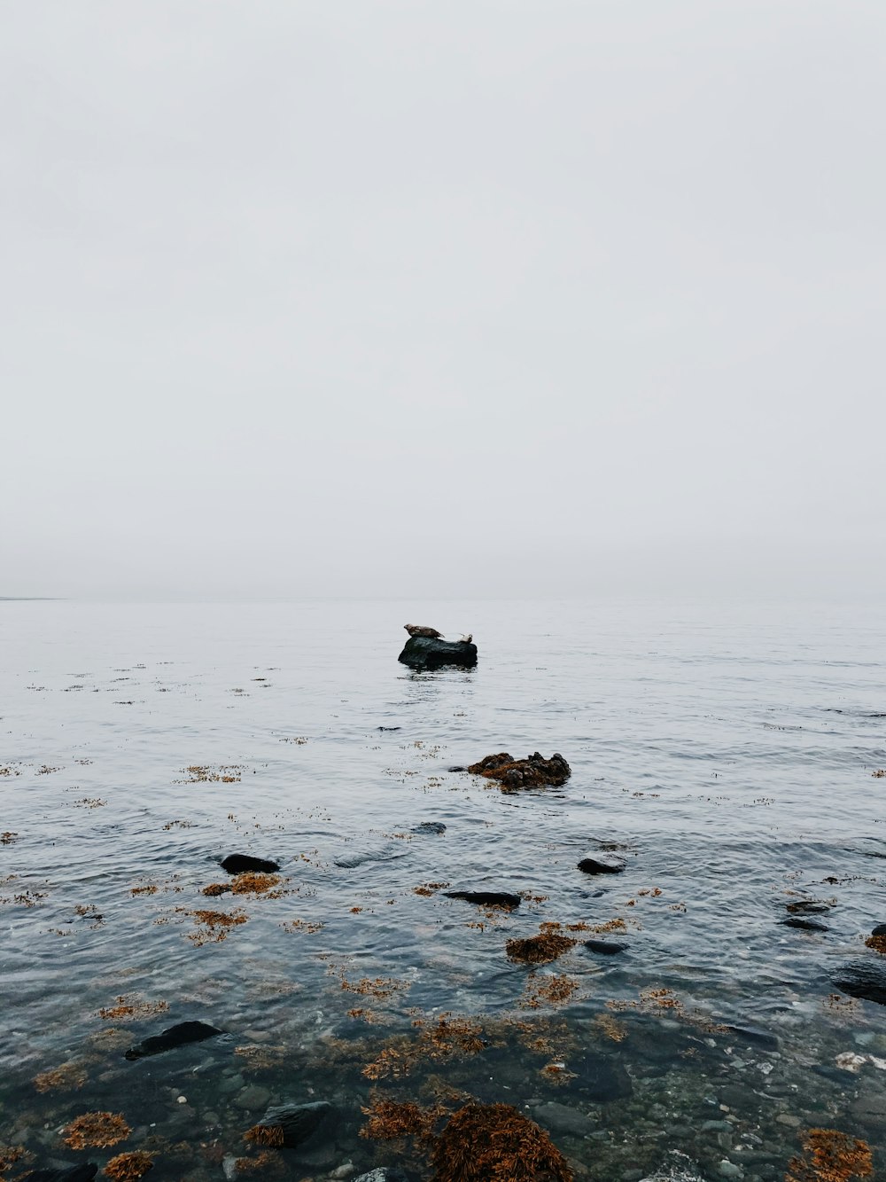 rock formation on body of water during daytime