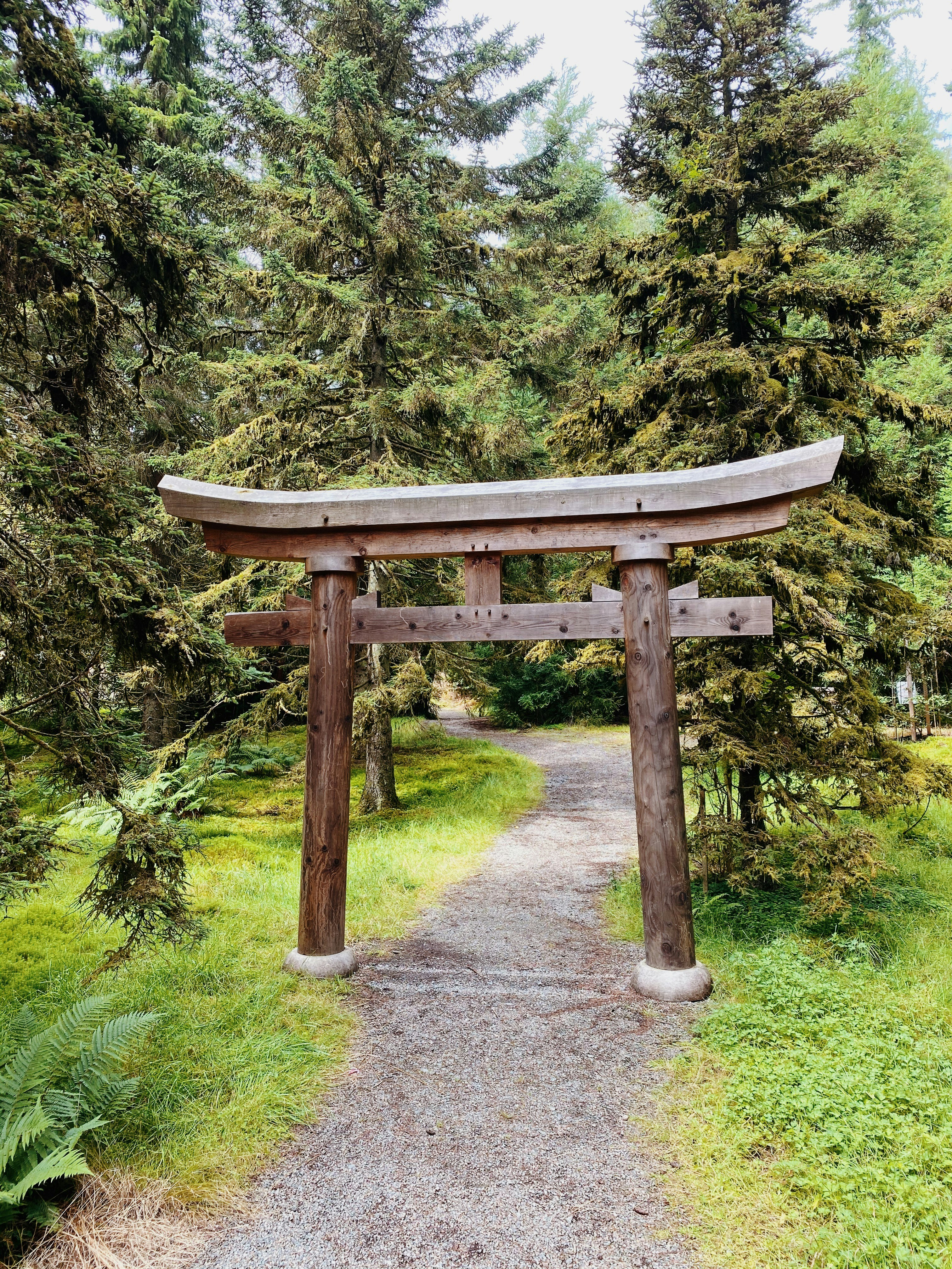 brown wooden arch surrounded by green grass and trees during daytime
