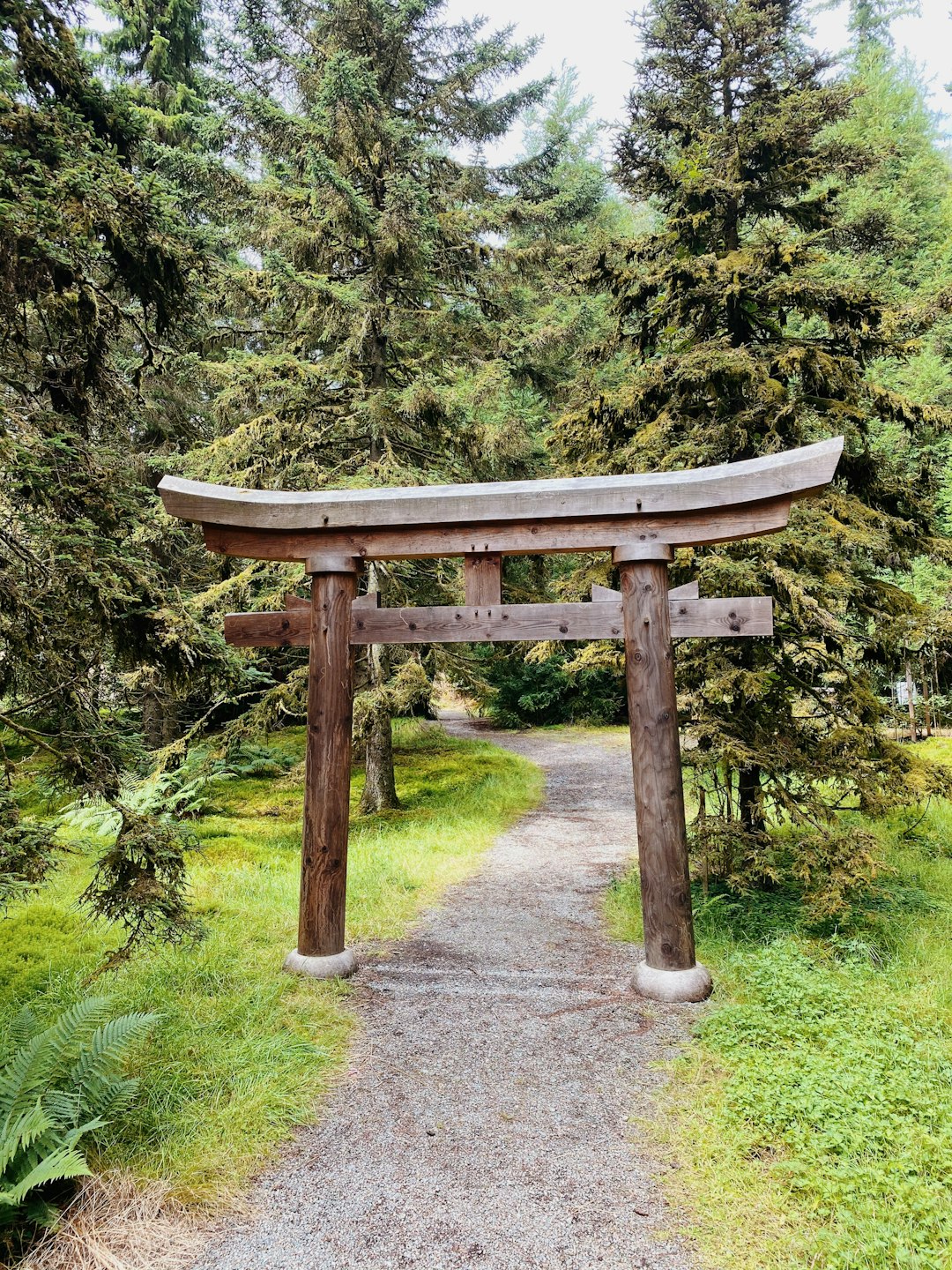 Forest photo spot Scotland Pitlochry