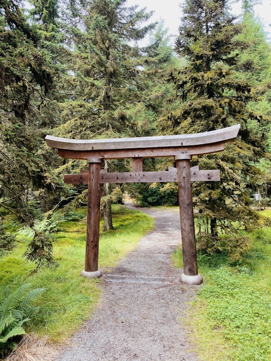 brown wooden arch surrounded by green grass and trees during daytime in Scotland United Kingdom